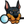 Autopsy